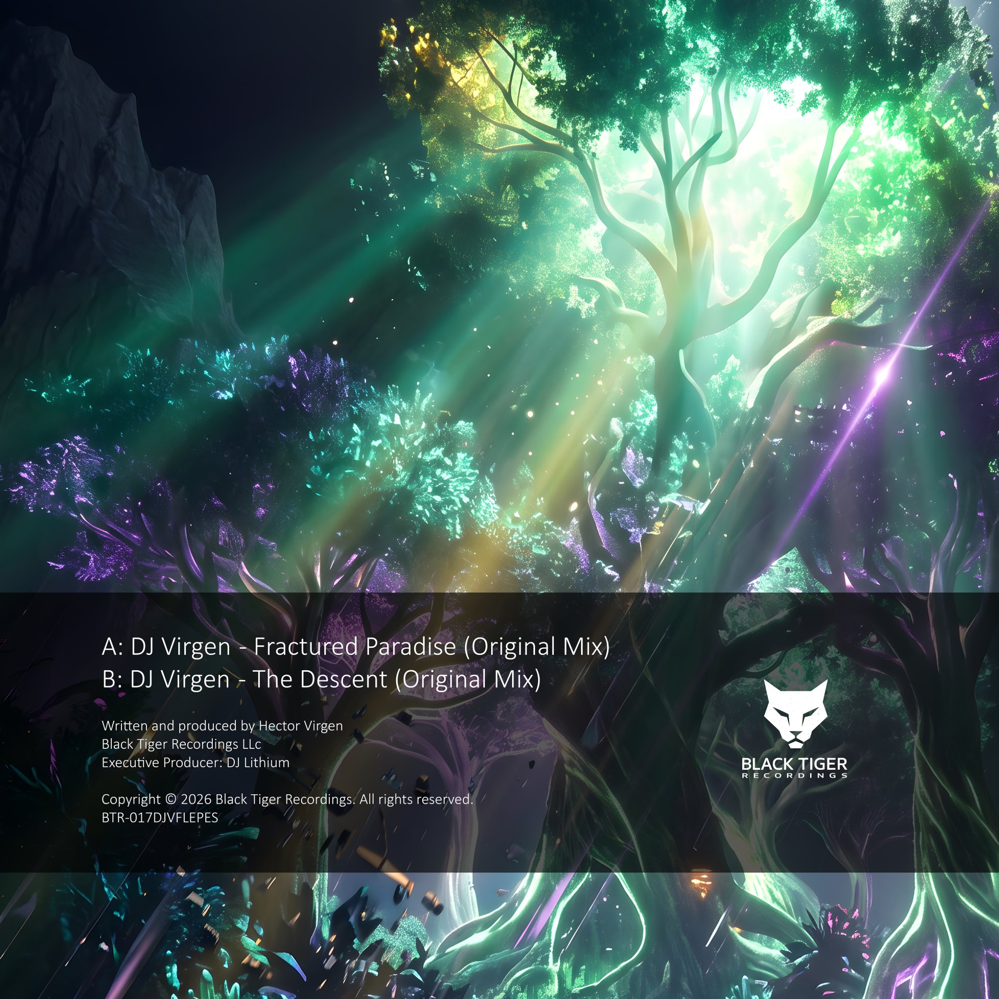 DJ Virgen – Fractured Paradise / The Descent back cover