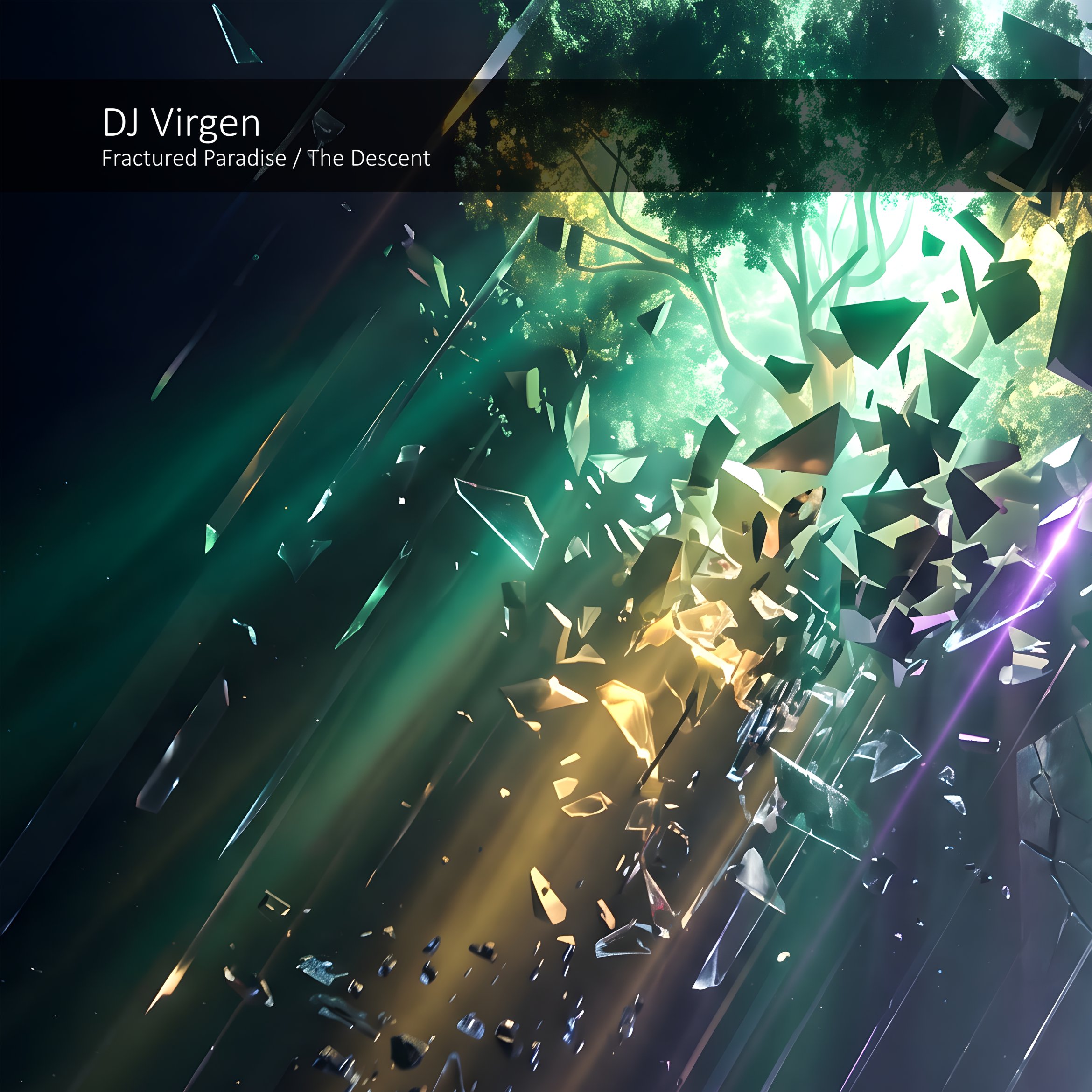 DJ Virgen – Fractured Paradise / The Descent front cover